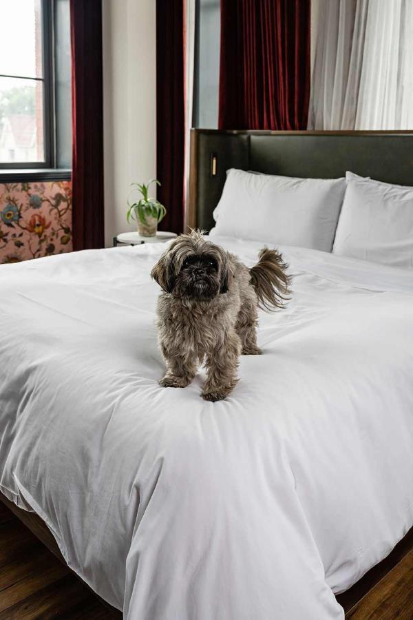 The Broadview Hotel تورونتو المظهر الخارجي الصورة